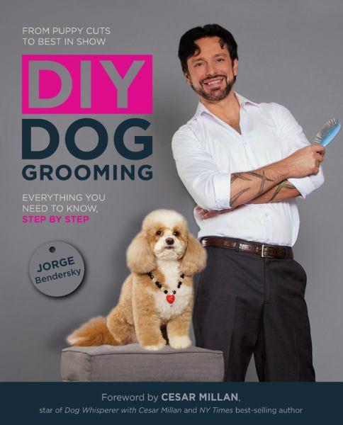 DIY Dog Grooming: From Puppy Cuts to Best in Show