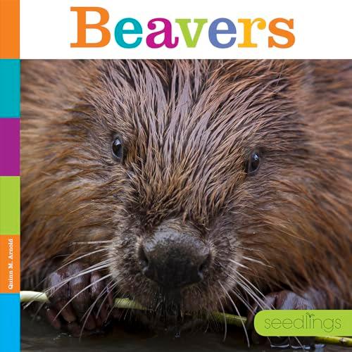 Beavers (Seedlings)