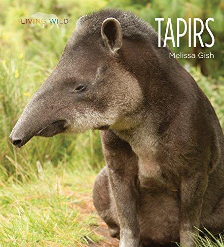 Tapirs (Living Wild)