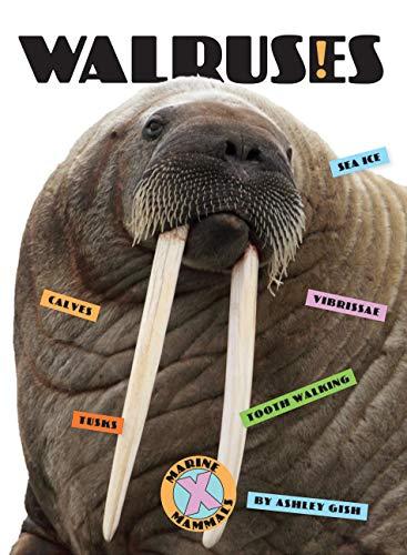 Walruses (Marine Mammals)