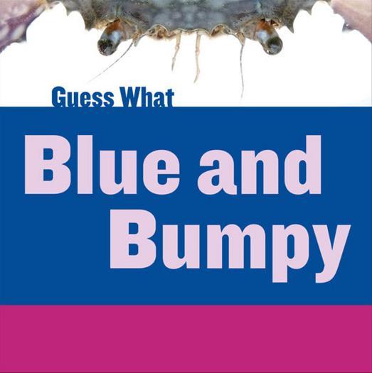 Blue and Bumpy (Guess What)