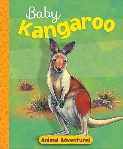 Baby Kangaroo (Animal Adventures)