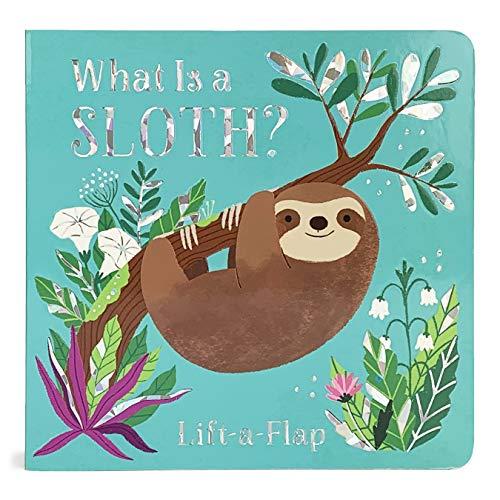 What Is a Sloth? (Lift-a-Flap)