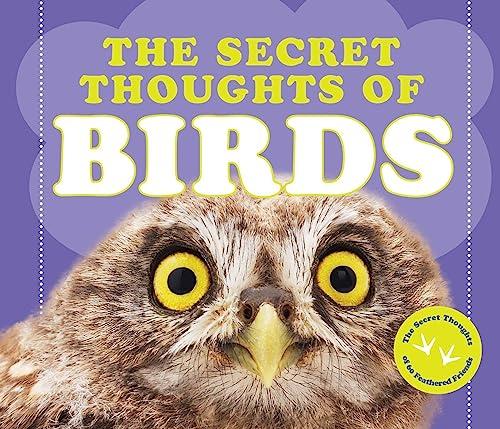 The Secret Thoughts of Birds