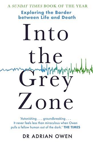 Into The Grey Zone
