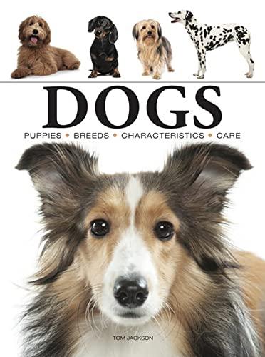 Dogs: Puppies, Breeds, Characteristics, Care