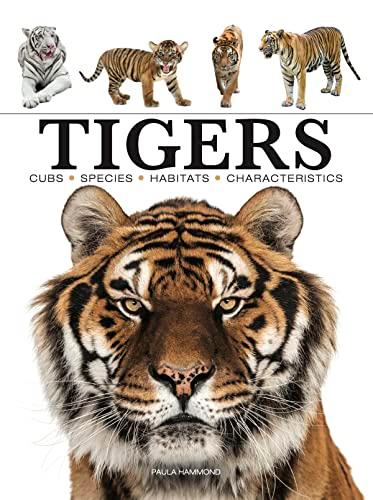 Tigers: Cubs, Species, Habitats, Characteristics