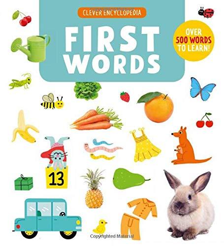 First Words: Over 500 Words to Learn! (Clever Encyclopedia)