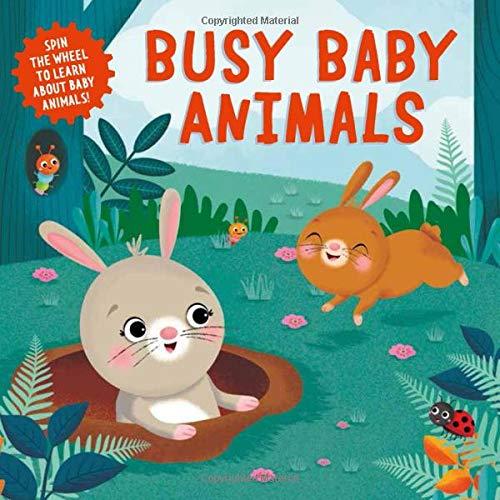 Busy Baby Animals: Spin the Wheel to Learn about Baby Animals! (Clever Wheels)