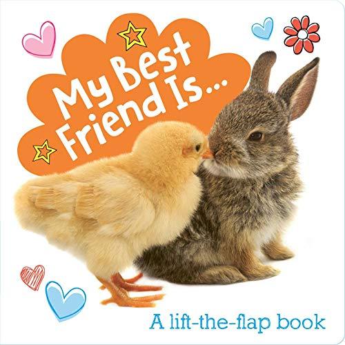 My Best Friend Is...: A Lift-the-Flap Book (Lovey Dovey)