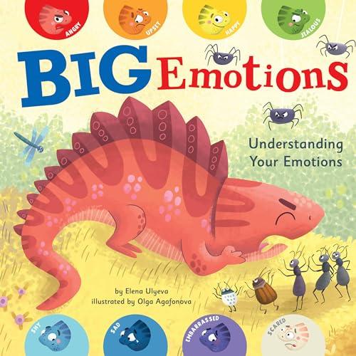 Big Emotions: Understanding Your Emotions (Clever Emotions)
